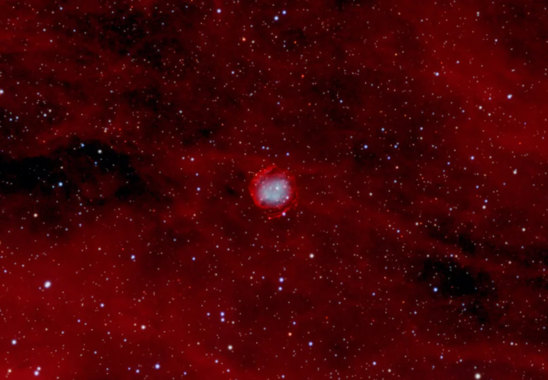 Image description
